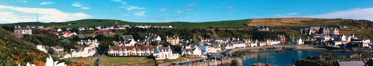 D & M Leisure Parks | Dumfries & Galloway, Scotland